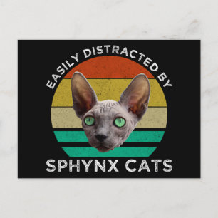 Easily Distracted By Sphynx Cats Postcard