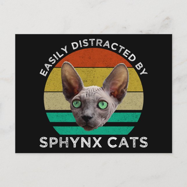 Easily Distracted By Sphynx Cats Postcard (Front)