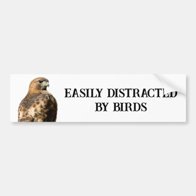 Easily Distracted.... - Red Tailed Hawk Bumper Sticker (Front)