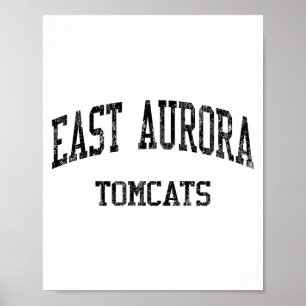 East Aurora High School Hs Aurora Il Vintage Srts  Poster