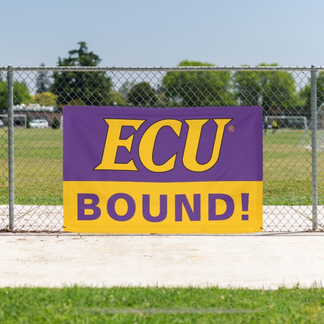 East Carolina University | ECU Logo Banner (Insitu)