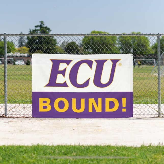 East Carolina University | ECU Logo Banner (Insitu)