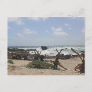 East Coast of Cozumel Postcard