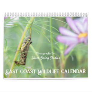 East Coast Wildlife Calendar