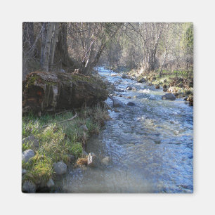 East Fork, Hayfork Creek... Magnet