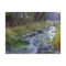 East Fork/Hayfork creek......