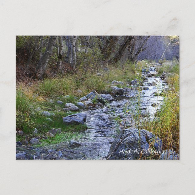 East Fork/Hayfork creek...... Postcard (Front)