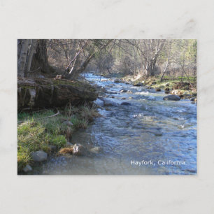 East Fork, Hayfork Creek... Postcard