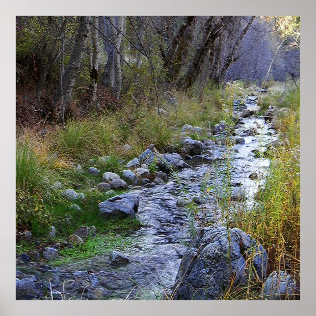 East Fork/Hayfork creek...... Poster (Front)