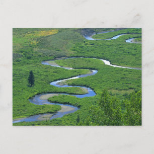East River near the town of Crested Butte. Postcard