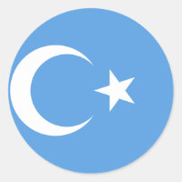 East Turkestan Uyghur Flag