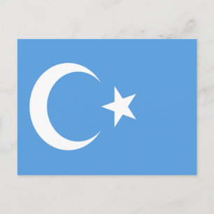 East Turkestan Uyghur Flag Postcard