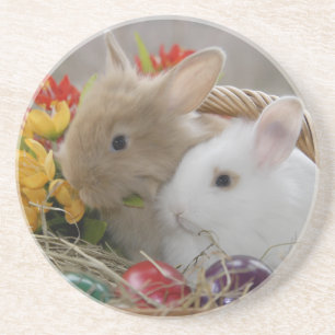 Easter_2015_0201 Coaster