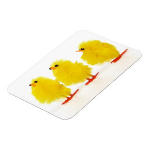 Easter baby chicks Flexible Magnet