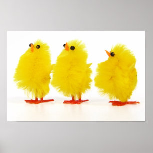 Easter baby chicks Poster