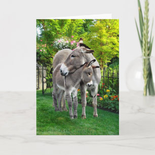 "Easter & Baby Eno" Greeting Card