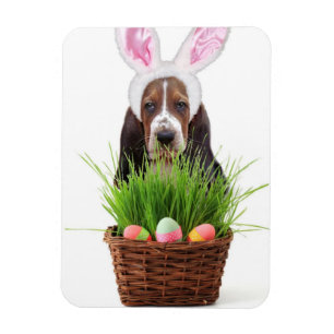 Easter Basset Hound dog Magnet