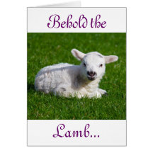 Easter Behold the Lamb Holiday Card