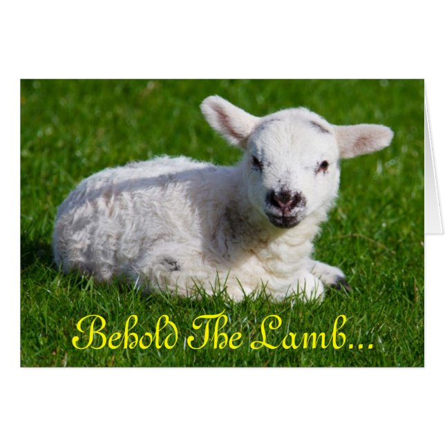 Easter Behold the Lamb II (Front Horizontal)