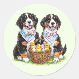 Easter Bernese Mountain Dogs Classic Round Sticker