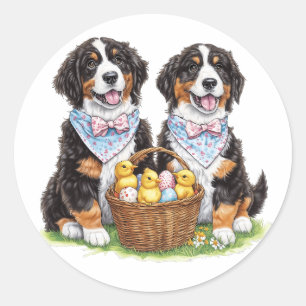 Easter Bernese Mountain Dogs Classic Round Sticker