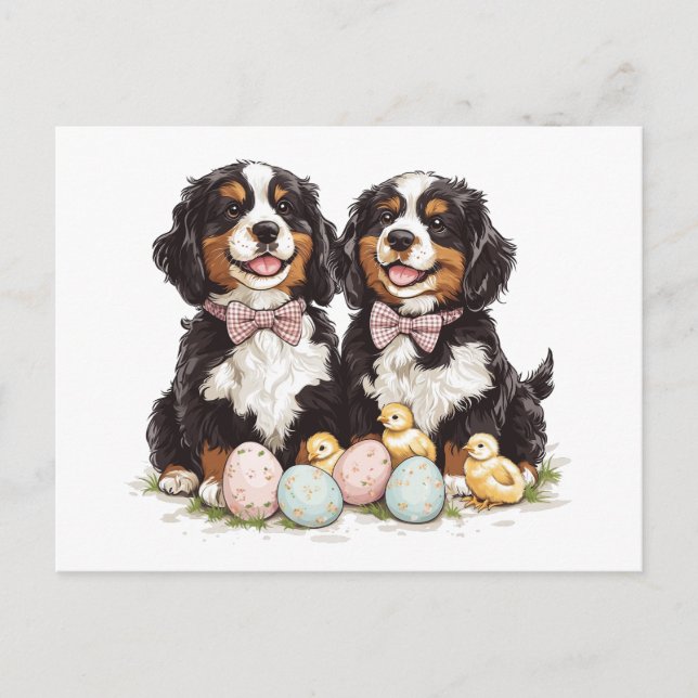Easter Bernese Mountain Dogs Easter Eggs Holiday Postcard (Front)