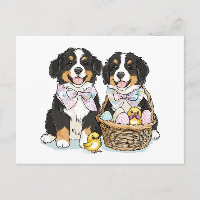 Easter Bernese Mountain Dogs Holiday Postcard (Front)