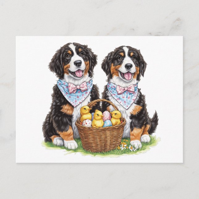 Easter Bernese Mountain Dogs Postcard (Front)