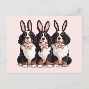 Easter Bernese Mountain Dogs Postcard