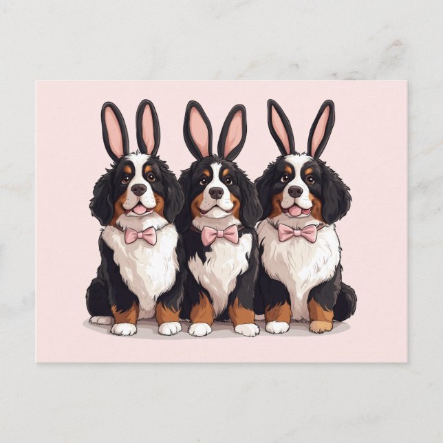 Easter Bernese Mountain Dogs Postcard (Front)
