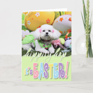 Easter - Bichon Frise - Mia Holiday Card