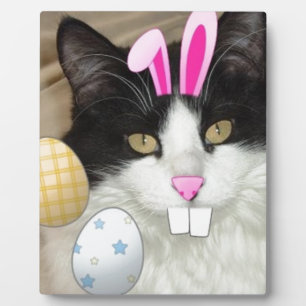 Easter Black and White Kitty Cat Plaque
