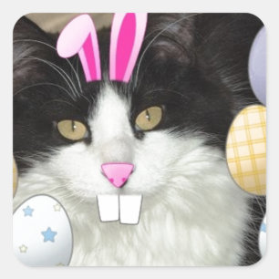 Easter Black and White Kitty Cat Square Sticker