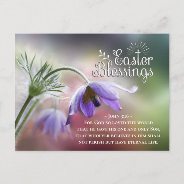 Easter Blessings God so Loved the World John 3:16 Postcard (Front)