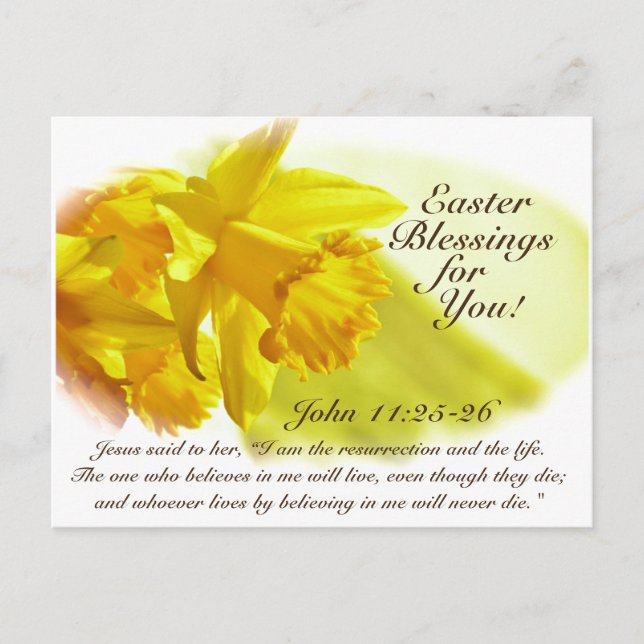 Easter Blessings, John 11:25-26, Daffodils Holiday Postcard (Front)
