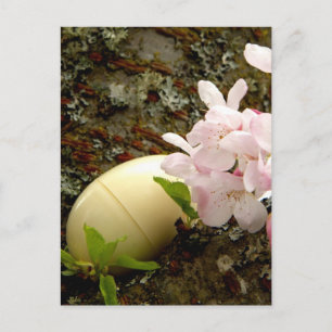 Easter Blossoms Holiday Postcard