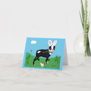 Easter Boston Terrier Clancey Card