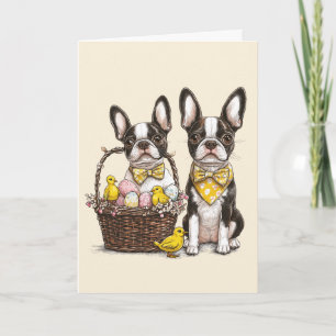 Easter Boston Terrier Dogs Card