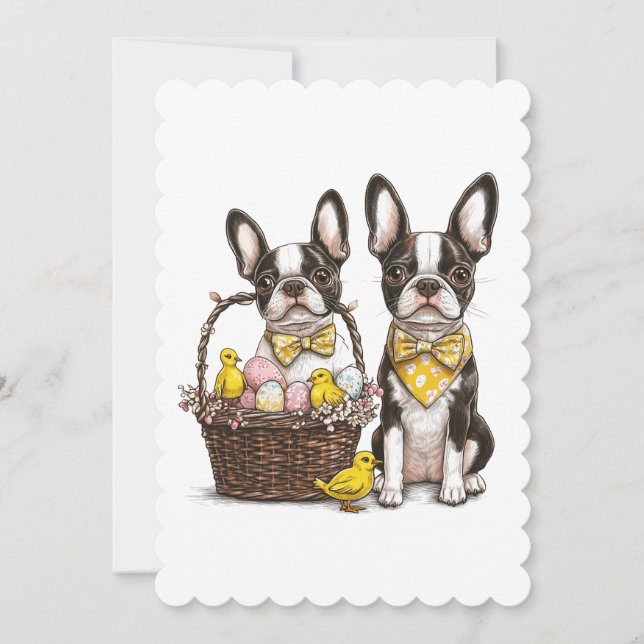 Easter Boston Terrier Dogs Holiday Card (Front)