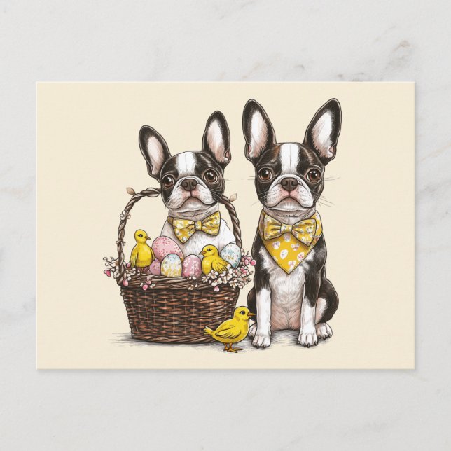 Easter Boston Terrier Dogs Postcard (Front)