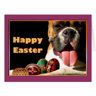 Easter Boxer Dog