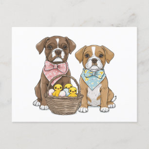 Easter Boxer Dogs Holiday Postcard