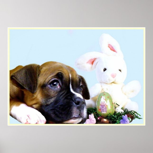 Easter boxer puppy poster (Front)