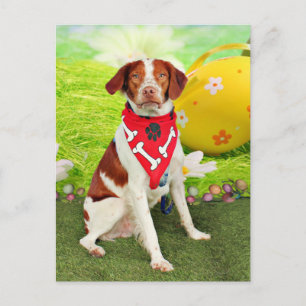 Easter - Brittany Spaniel - Elliott Holiday Postcard