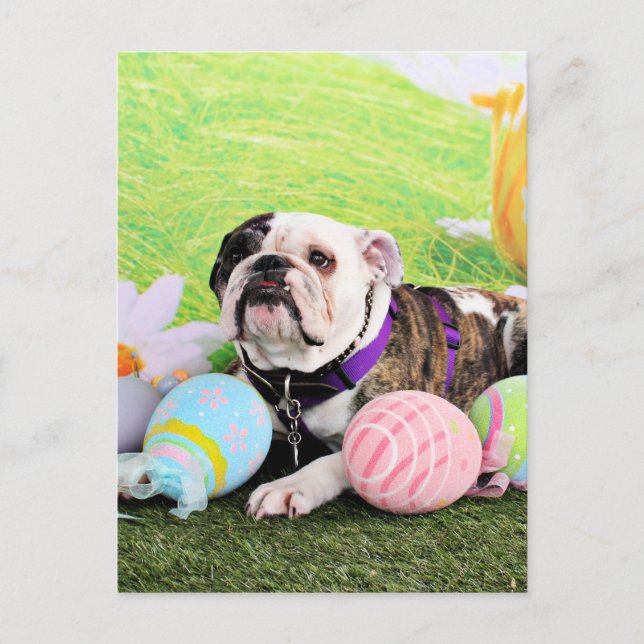 Easter - Bulldog - Delilah Holiday Postcard (Front)