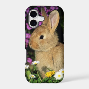 Easter Bunny