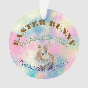 Easter Bunny Acrylic Ornament