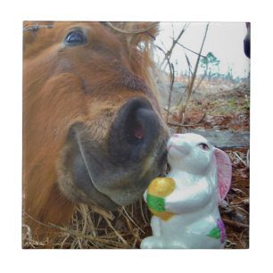 Easter Bunny and Brown horse Ceramic Tile