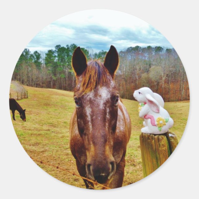 Easter Bunny and Brown horse Classic Round Sticker (Front)