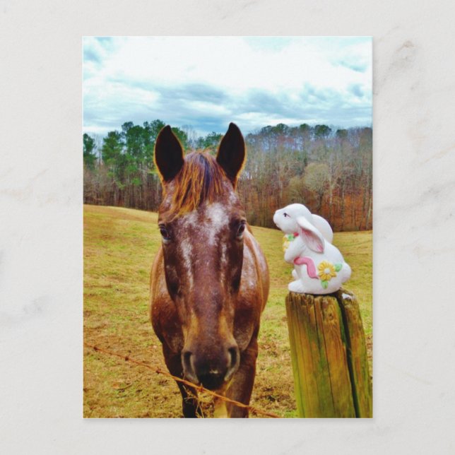 Easter Bunny and Brown horse Holiday Postcard (Front)